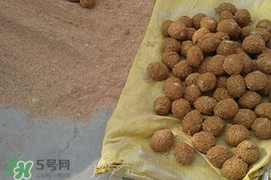 松花蛋是怎么做出來的？松花蛋的家庭腌制方法