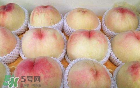 無(wú)錫水蜜桃多少錢(qián)一斤2017？無(wú)錫水蜜桃什么時(shí)候上市