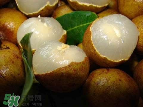龍眼和桂圓是一種東西嗎？龍眼和桂圓的區(qū)別