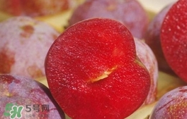三華李可以和香蕉一起吃嗎？香蕉能和三華李一起吃嗎