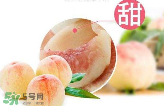 陽山水蜜桃多少錢一斤？無錫陽山水蜜桃價格