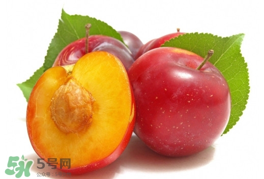 三華李可以放多久？三華李可以冷藏嗎？