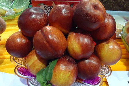 三華李可以用鹽泡嗎？三華李能用鹽水泡嗎