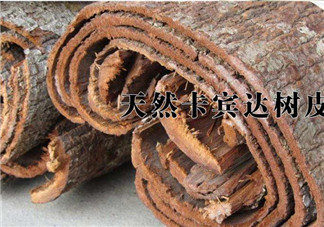 安哥拉樹皮能天天吃嗎？安哥拉樹皮天天吃可以嗎？