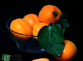 杏子可以和芒果一起吃嗎？吃完杏子可以吃芒果嗎？