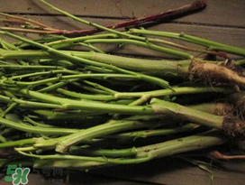 莧菜桿能吃嗎？莧菜桿子可以吃嗎？