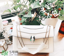 寶格麗蛇頭包有哪幾種尺寸？寶格麗蛇頭包尺寸介紹