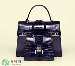 delvaux2017春夏系列包包款式有哪些_好看嗎？