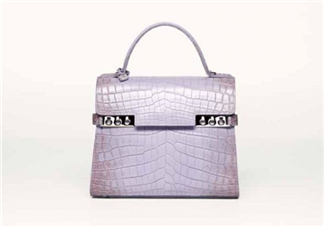 delvaux2017春夏系列包包款式有哪些_好看嗎？
