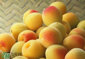 杏和雞蛋能一起吃嗎？杏子和雞蛋能一起吃嗎？