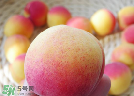 杏的熱量高嗎？一個(gè)杏的熱量是多少？