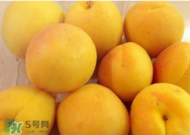 杏吃多了會(huì)怎么樣？杏吃多了會(huì)不會(huì)上火?