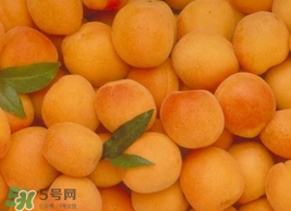 杏怎么催熟？杏怎么放熟的快？