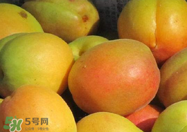 杏怎么催熟？杏怎么放熟的快？