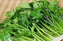 香菜洗腎有科學(xué)依據(jù)么？香菜能洗腎是真的嗎？