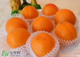 杏子可以放冰箱嗎？杏子可以冷藏嗎？