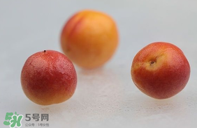杏子怎么保存？長杏子怎么保存時間長？