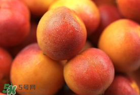 新鮮杏子可以放冰箱嗎？新鮮杏子怎么保存？