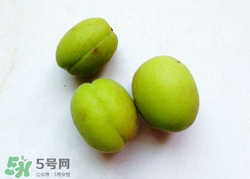 青杏怎么催熟？青杏怎么變黃？