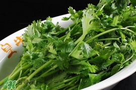 香菜是感光食物嗎？香菜是不是感光食物