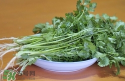 香菜是寒性食物嗎？香菜是熱性還是涼性？