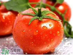 杏和西紅柿能一起吃嗎？杏子能和西紅柿一起吃嗎？