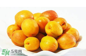 杏和荔枝能一起吃嗎？杏和荔枝一起吃會中毒嗎？