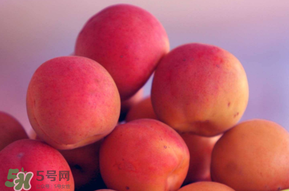 杏子好吃嗎？杏子可以多吃嗎？