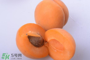 杏子好吃嗎？杏子可以多吃嗎？