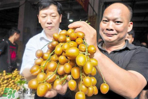 黃皮好吃嗎？黃皮是什么味道？