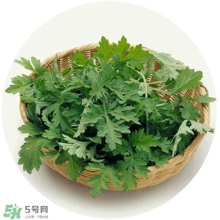 lululun plus面膜怎么樣？lululun plus面膜哪款好