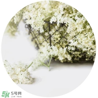 lululun plus面膜怎么樣？lululun plus面膜哪款好