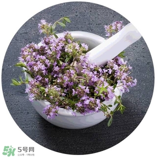 lululun plus面膜怎么樣？lululun plus面膜哪款好