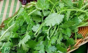 香菜洗腎有科學(xué)依據(jù)么？香菜能洗腎是真的嗎？
