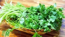 香菜是寒性食物嗎？香菜是熱性還是涼性？
