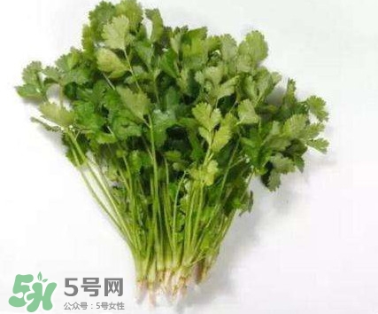 香菜洗腎有科學(xué)依據(jù)么？香菜能洗腎是真的嗎？