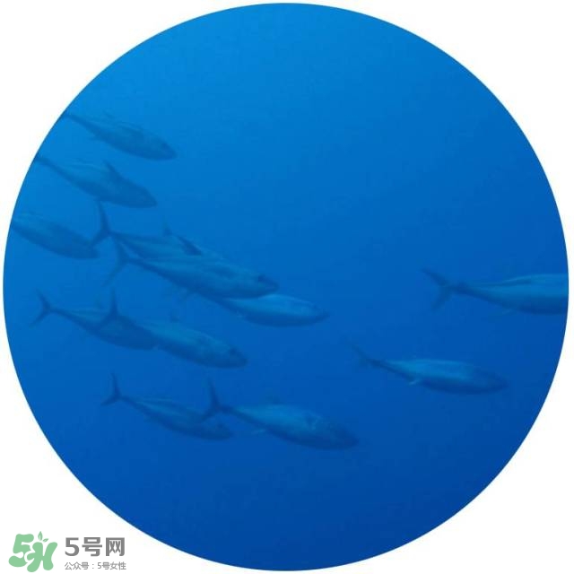 lululun plus面膜怎么樣？lululun plus面膜哪款好