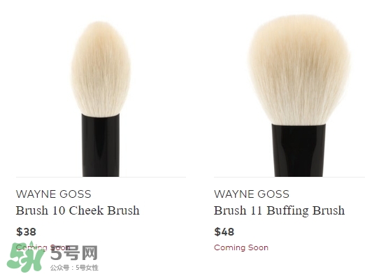 wayne goss是什么牌子？wayne goss化妝刷怎么樣？