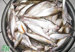 翹殼是什么魚(yú)？翹殼魚(yú)多少錢(qián)一斤2017？