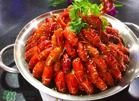 油燜大蝦吃哪些部位？怎么正確吃油燜大蝦？