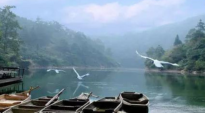 馬口魚能養(yǎng)殖嗎？馬口魚怎么養(yǎng)？