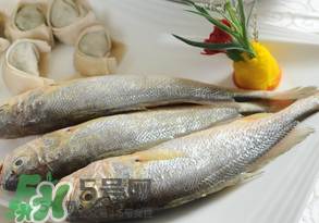 黃魚多少錢一斤？黃魚多少錢一斤2017？