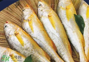 小黃魚(yú)長(zhǎng)大后會(huì)不會(huì)變成大黃魚(yú)？
