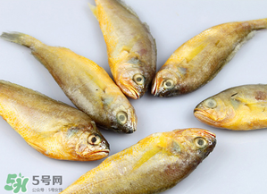 小黃魚(yú)不能和什么一起吃？小黃魚(yú)和什么相克？