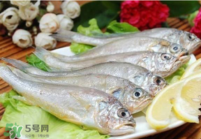 小黃魚多少錢一斤？野生小黃魚多少錢一斤？