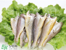 小黃魚可以養(yǎng)殖嗎？小黃魚能人工養(yǎng)殖嗎？