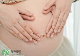 孕婦驅(qū)蚊植物推薦 孕婦能用植物驅(qū)蚊嗎？