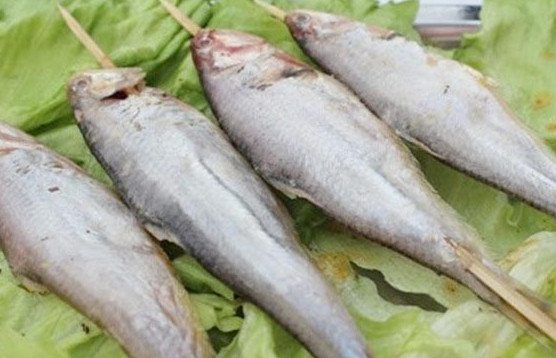 釣馬口魚(yú)用什么餌料？釣馬口魚(yú)用什么打窩？