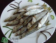 白條魚多少錢一斤2017？野生白條魚多少錢一斤