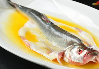 白條魚能長(zhǎng)多大？白條魚可以長(zhǎng)多大？